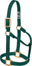 Weaver Leather Original Non-Adjustable Nylon Horse Halter, Large, Hunter Green