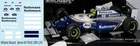 1/43 Decals for WILLIAMS RENAULT SENNA HILL FW16 1994 TBD59