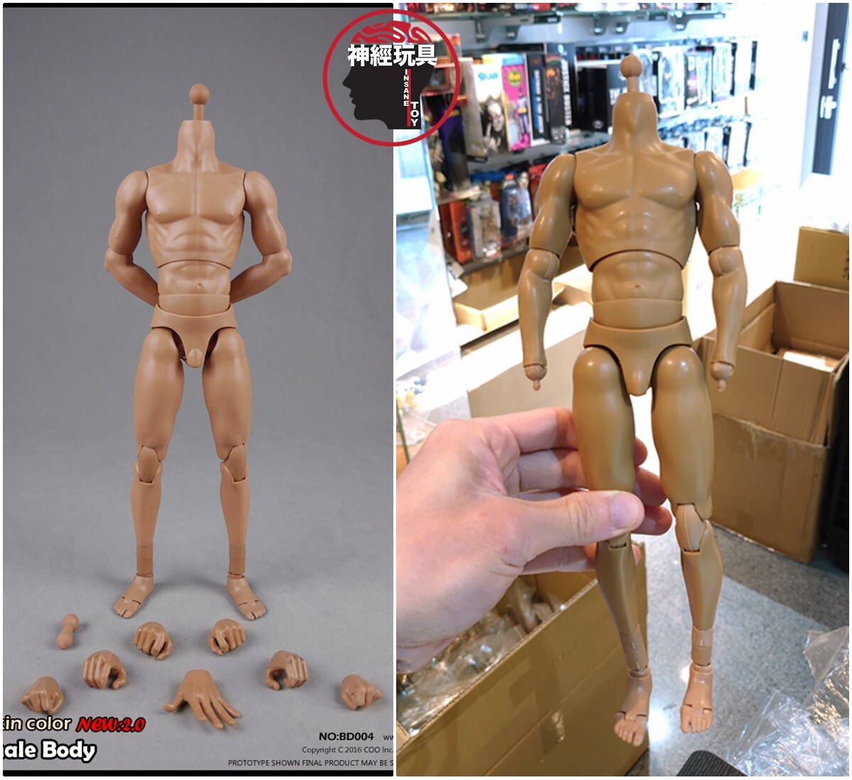 COOMODEL 1/6 Scale NO.BD004 Muscle Male High BODY FOR 12