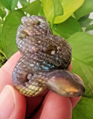 2  Natural Labradorite Hand Carved snake Quartz Crystal Healing Reiki 1pc 