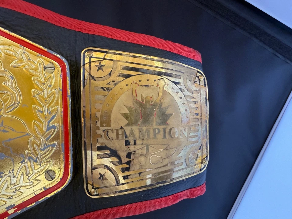 披头士 Love Cirque du Soleil XS 夜总会冠军拳击腰带 — 第 4/4 张图片