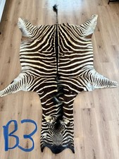 Zebra hide/ Zebra skin/ Zebra rug - South African Burchell 's Zebra B3 