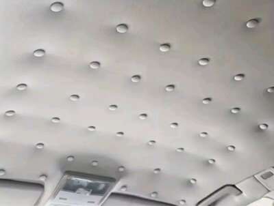 40 Stk Autohimmel-Reparaturset Auto Dach Himmel Schnalle Schnappnieten Reparatur