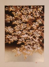 Hajime Namiki Wood Block Print SAKURA 7 Limited to 200 Japan 34 x 46.5cm 2020 JP