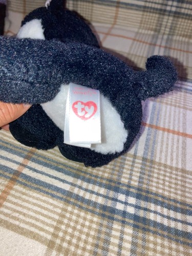 Ty Beanie Boo, Ava? 6 inch no tag - Picture 2 of 3