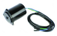 Outboard Yamaha 6 / 50-90 / 115 / 150-200 Hp Tilt Trim Motor 688-43880-11-00 Outboard Yamaha 6 / 50-90 / 115 / 150-200 Hp Tilt Trim Motor 688-43880-11-00