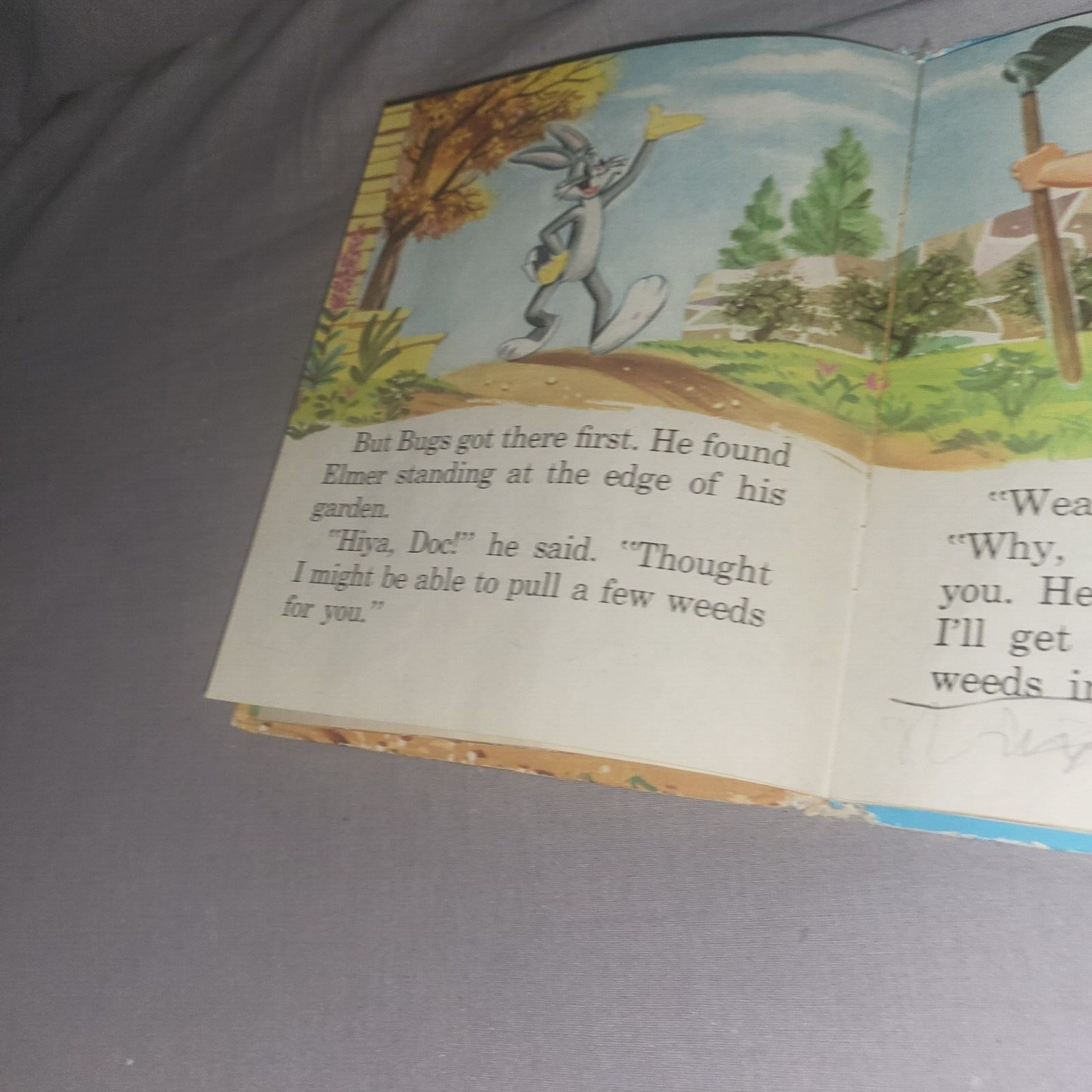 Picture 4 of 15
