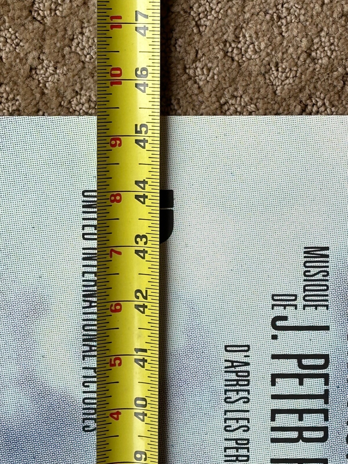 Picture 11 of 11