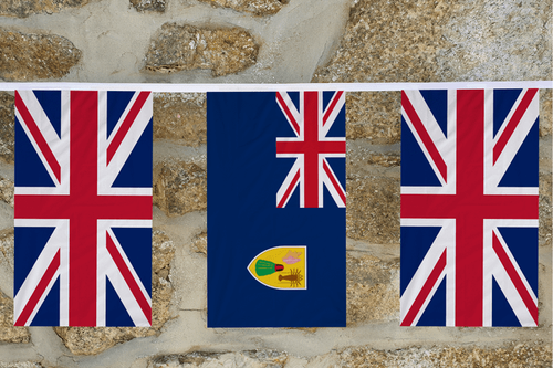 Union Jack y Territorios de Ultramar Bandera Amistad Bunting - HECHO EN EL REINO UNIDO - Imagen 16 de 16