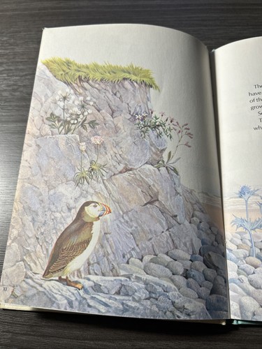 Vintage 1970 The Starting Point Library By the Sea Marine Life Danbury Press - Picture 8 of 8
