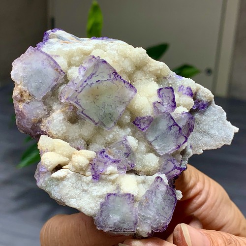 225G Natural Púrpura "Código QR" Racimo de Fluorita Cristal Mineral Espécimen/Guizhou - Imagen 3 de 23