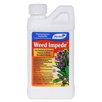 Monterey Lg 5130 Weed Impede (surflan) Herbicide One Pint 16 Ounce on sale Monterey Lg 5130 Weed Impede (surflan) Herbicide One Pint 16 Ounce on sale