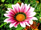 Bild 3 von 8