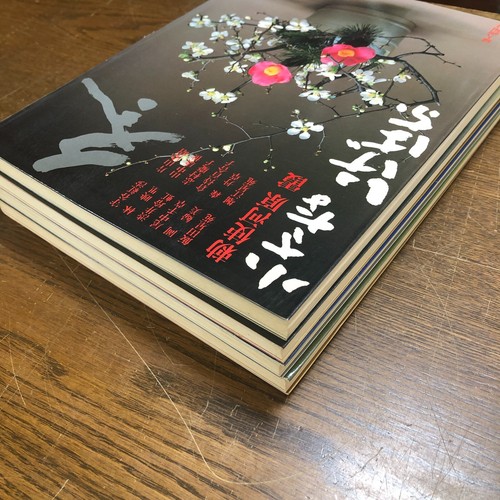 Kleines Ikebana Sogetsu alle Bände Erstausgabe Set Kasumi Teshigahara JAPAN - Bild 20 von 21