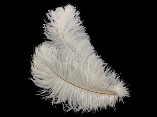 10 Pieces - 14-17" Off White Ostrich Drab Feathers Centerpiece Wedding Supplier - Picture 3 of 12