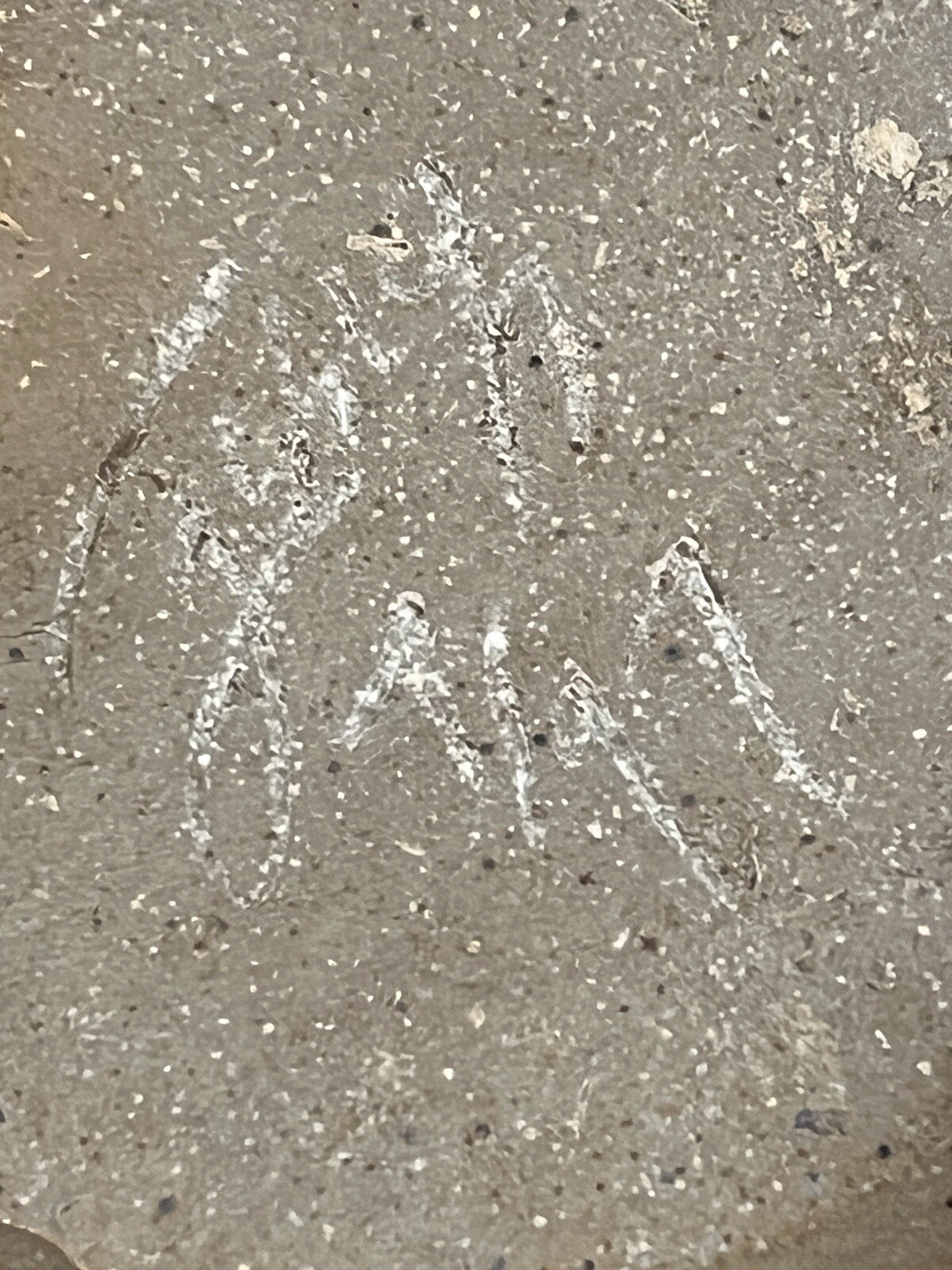 Picture 13 of 16