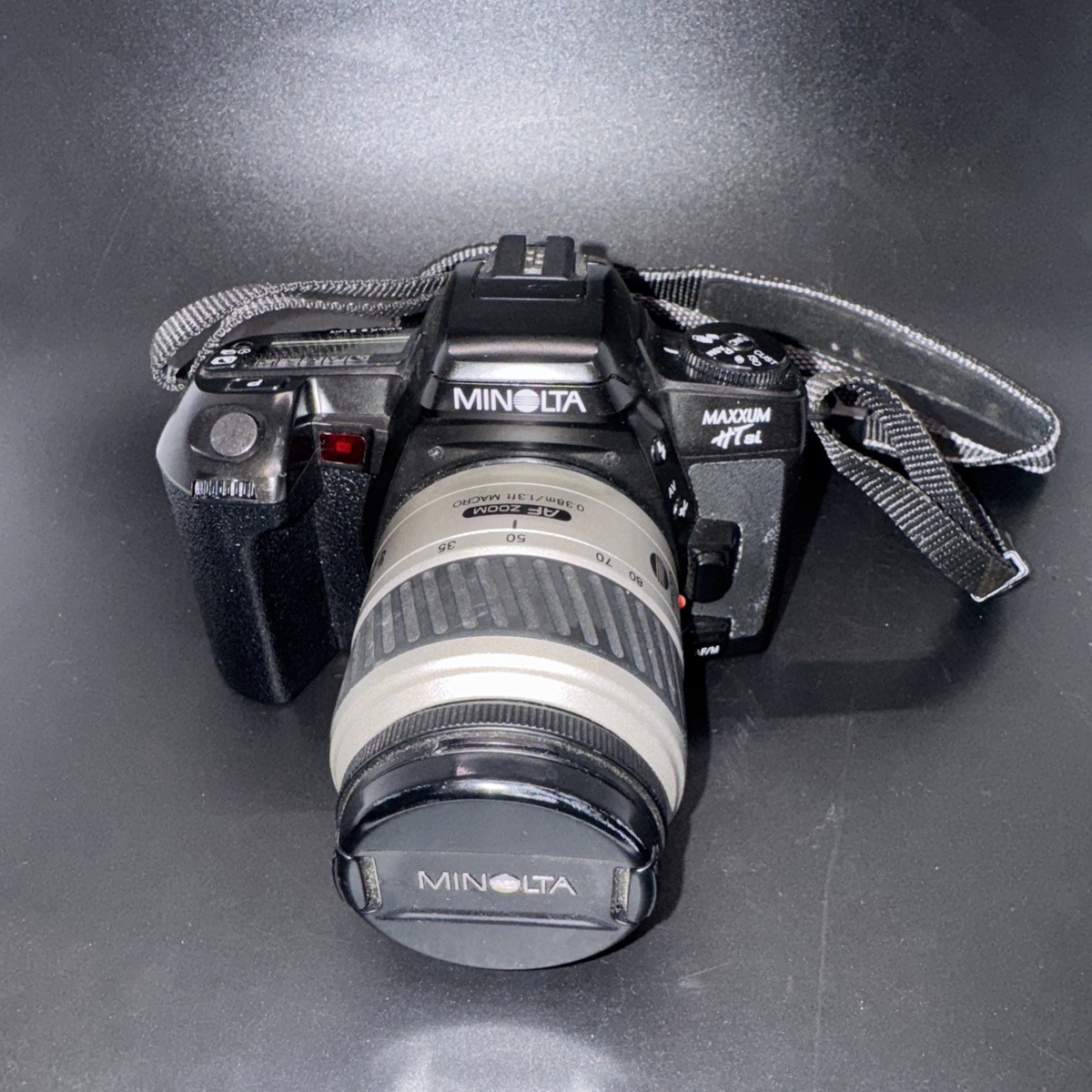 マクロザミア コムニス×マクロザミア ジョンソニー　ハイブリッド　※希少 Minolta Maxxum HTsi Plus 35mm SLR Film Camera for sale online | eBay