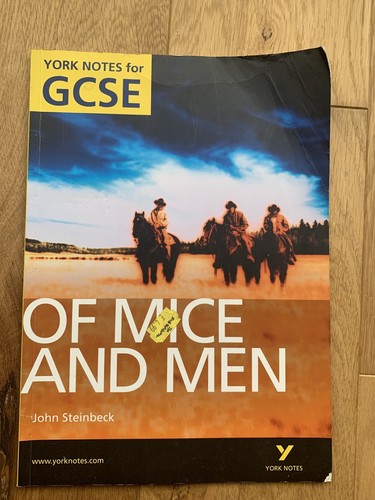 YORK NOTES GCSE OF MICE AND MEN Book Study Guide Exam Notes - Picture 3 of 5