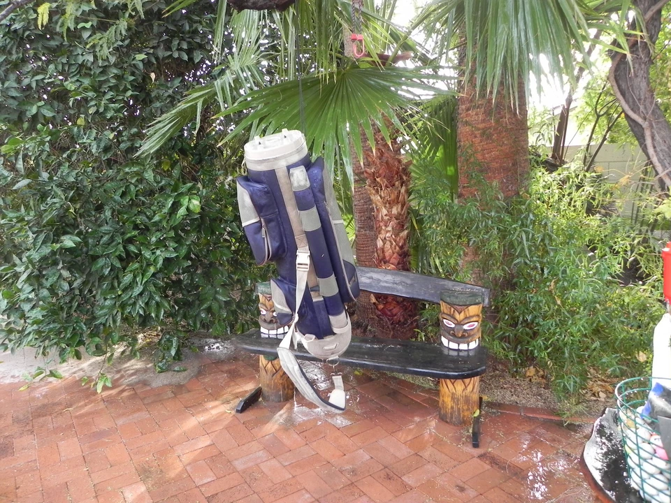 Bolso de golf para mujer/dama, DATREK, carro con capucha * bonito y limpio * Foto 2 de 4