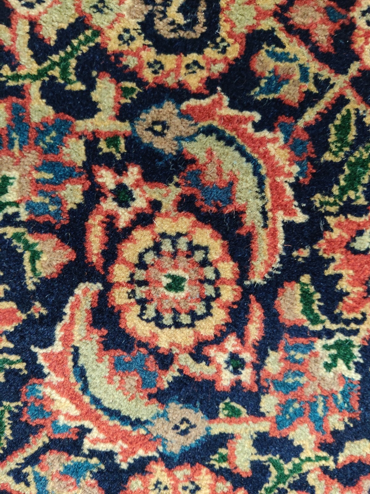 Picture 6 of 21