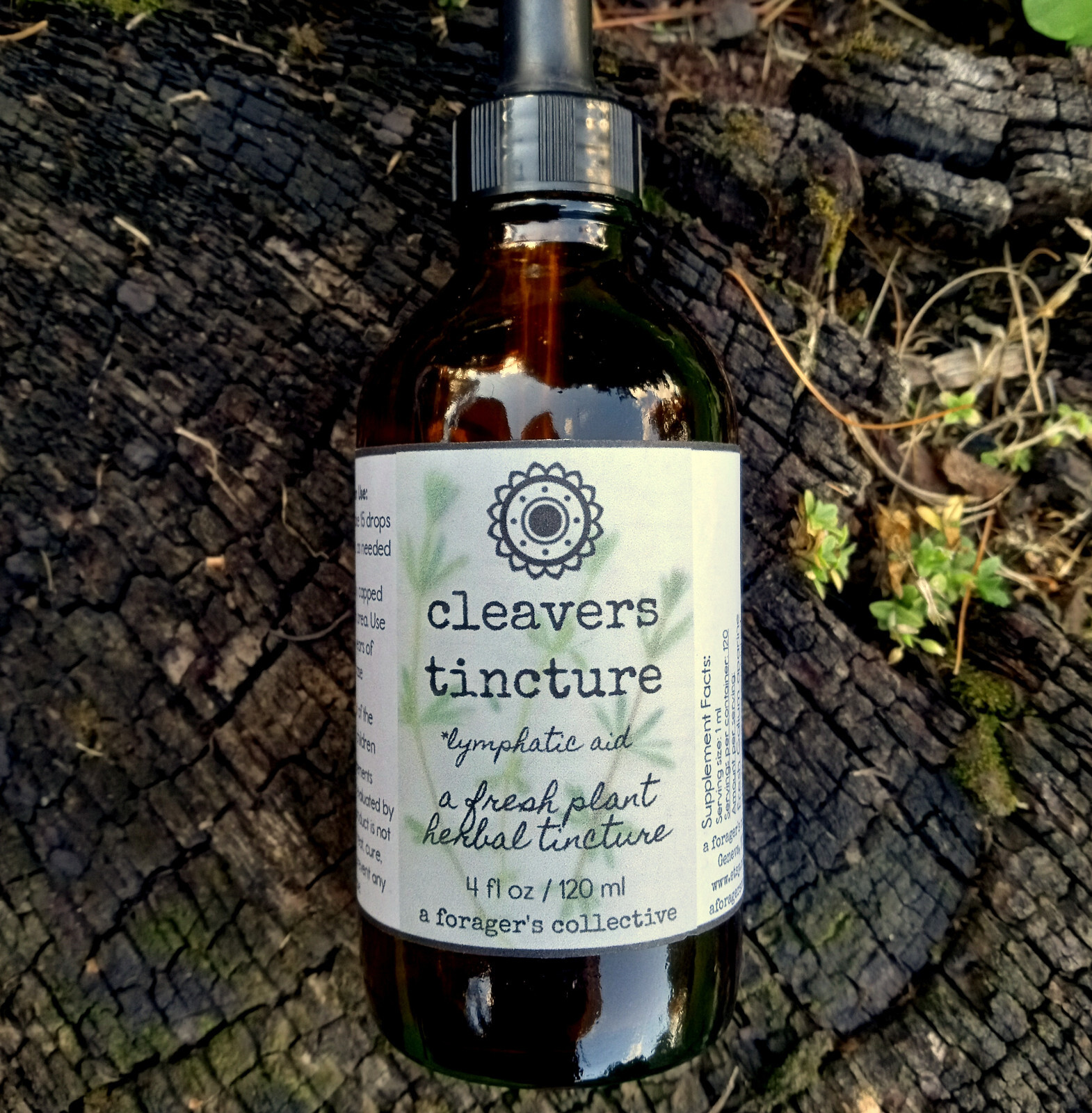 cleavers tincture , galium aparine , bedstraw extract , fresh herbal