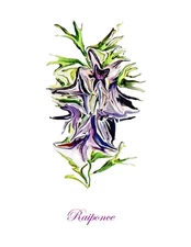 "Raiponce" Contemporary Botanical Print-5 x 7 in an 8 x 10 White Beveled Mat