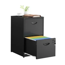 2 Drawer File Cabinets,Metal Office File Cabinet with Lock,Black Filing Cabin...