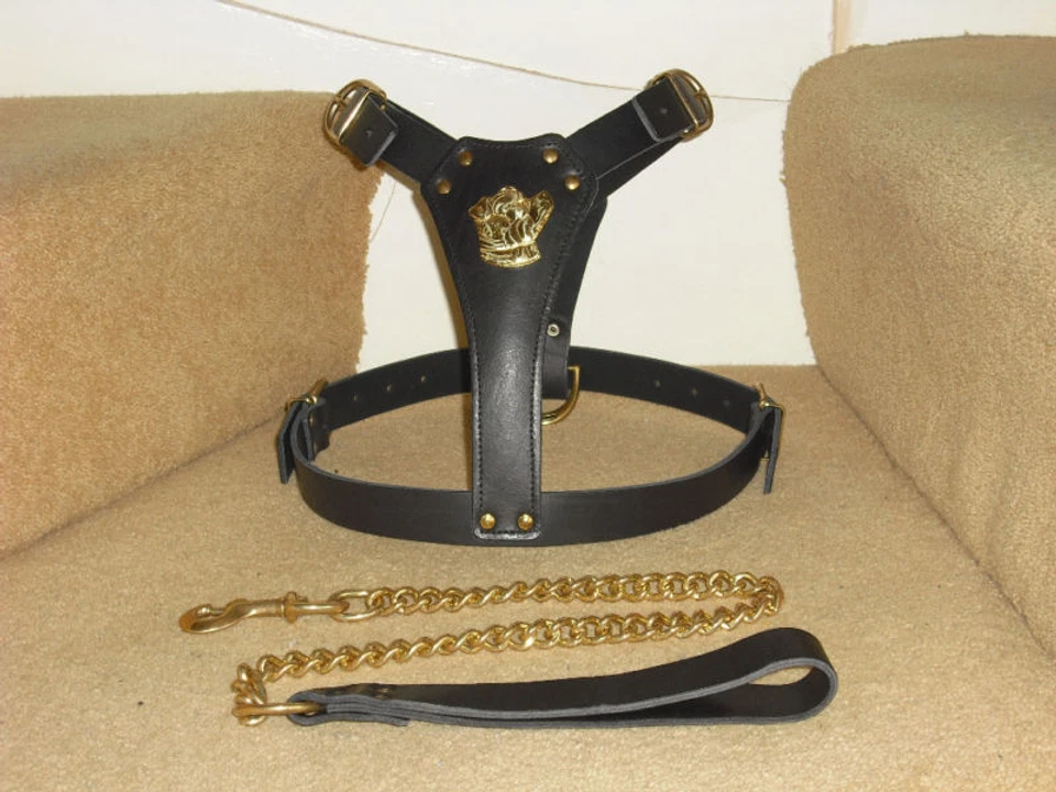 BLACK PADDED LEATHER DOG HARNESS FOR STAFFY WITH LEAD BRAND NEW - Image 2 of 4