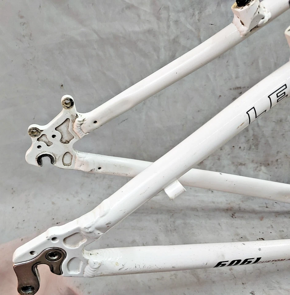 Cuadro MTB Leader LD-516H 2010 pequeño disco rígido horquilla de carbono Winwood ¡Envío a EE. UU.! Foto 3 de 4