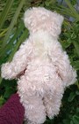 Bild 9 von 24