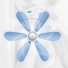 Foto 19 di 24