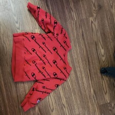 champion sweatshirt 4t