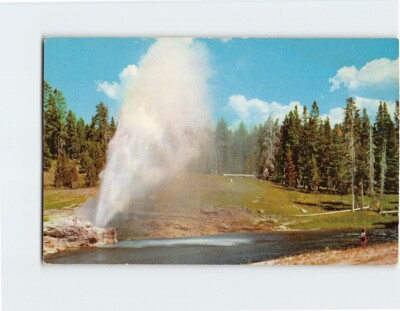 #ad Postcard Riverside Geyser Yellowstone National Park Wyoming USA $3.49