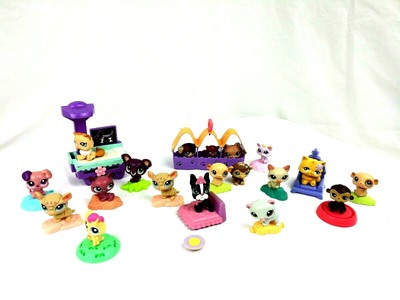 my little pet carrier