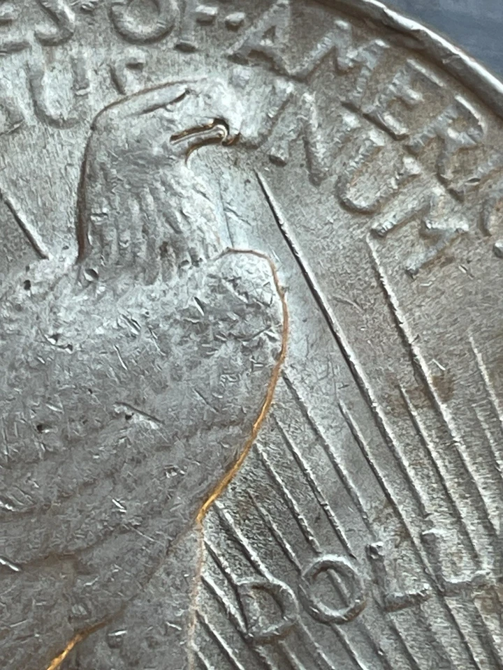 1922-P Peace Dollar Error. Nice Die Clash Spike, Eagles Rt. Shoulder. PD-05 - Image 3 of 4