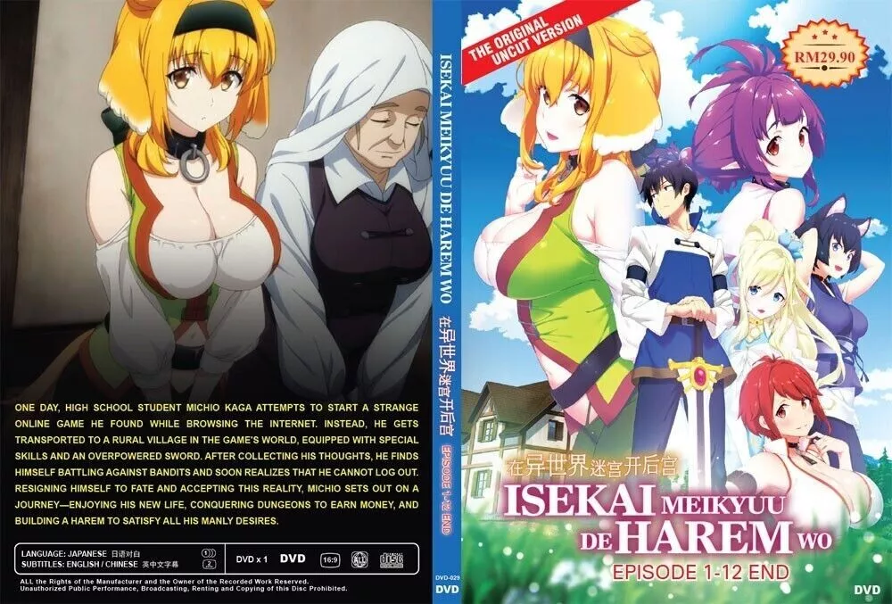 HAREM IN THE Labyrinth Of Another World Uncut Version Anime DVD