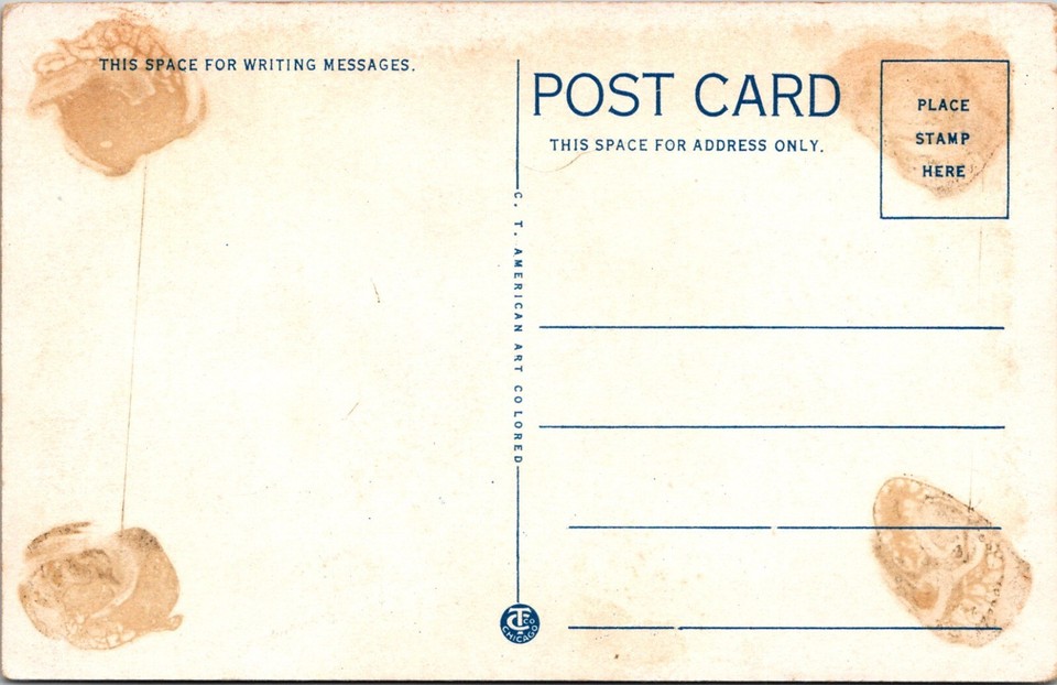 Mt. Airy NC The Arrarat River at White Sulphur Springs Vintage Postcard