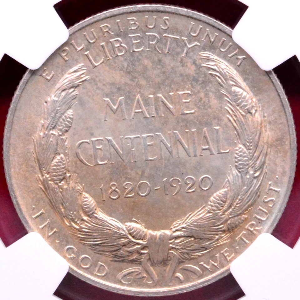 NGC MS-66! 1920 MAINE CENTENNIAL COMMEMORATIVE HALF - Image 3 of 3