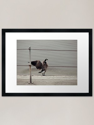 Morning Stretch Gerahmter Kunstdruck Gerahmtes Wandbild Poster Leinwanddruck Bild