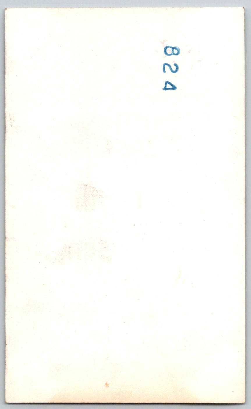 Picture 2