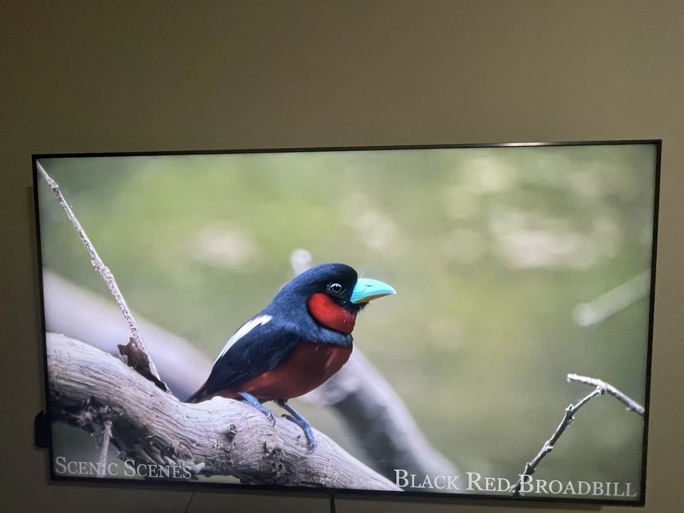 Sony XBR65X900F 65" 2160p 4K HDR UHD LED Smart TV- in excellent condition!  - Image 3 of 4