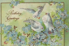 White Doves Perch on Forget Me Not Flowers Gold Gilt Bird Animal Postcard 613