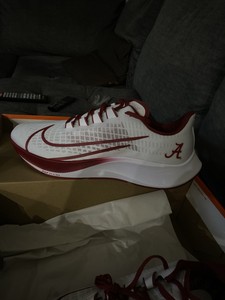 nike zoom pegasus 37 alabama