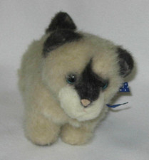 Gund Kitten Plush Siamese Cat Catnip 1126 Stuffed Animal Toy 8" Small