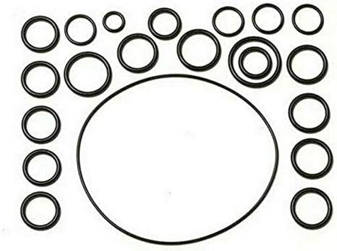O-Ring Repair Kit for Hypro D252 & D19 Diaphragm Pump