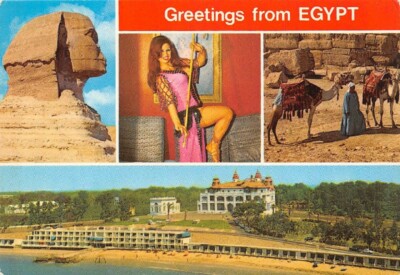Camels in GIZA - the Great Sphinx - ALEXANDRIA - EGYPT