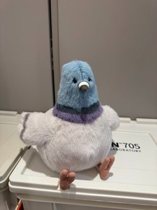 Leicester Pigeon | eBay