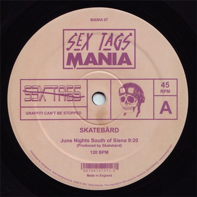 Skatebard - June Nights South Of Siena (Vinyl 12'' - 2006 - NO - Original)