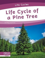 Life Cycles: Life Cycle of a Pine Tree by Gaertner, Meg [Paperback]