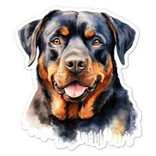 Rottweiler, Vinyl Decal Sticker, Indoor Outdoor, 3 Sizes, 9653